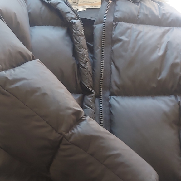 Jacket - Picture 3 of 3